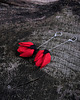 kolczyki chwosty Eleganckie kolczyki chwosty TULIPANY PREMIUM 2