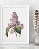 plakaty Plakat Bez  vintage  3