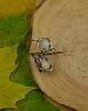 pierścionki - różne Pierścionek kamień księżycowy wire wrapping 2