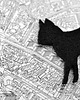 broszki FeltCat 3 3