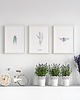 plakaty PLAKAT LAWENDA P180 2
