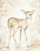 obrazy i plakaty do pokoju dziecięcego Lovely Fawn Poster White / caramel 1
