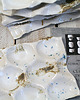 patery i talerze Finger Food Plate  - patera 2