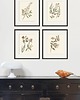 grafiki i ilustracje Zestaw Grafik Botanicznych Vintage 4