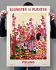 plakaty Plakat botaniczny "Poland" 1