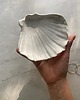 pojemniki na biżuterię Podstawka na Biżuterię Palo Santo Ceramiczna Muszelka Muszla Gołąbek 4