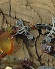 bransoletki wire wrapping Kolory lasu 3
