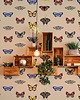 tapety i naklejki ścienne Butterfly 4