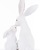 ozdoby wielkanocne Dekoracja - figurka 2 białe przytulone 27x18x11 cm ZAJĄCZKI-2 3