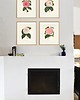 grafiki i ilustracje Zestaw Grafik Botanicznych Vintage 6