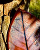 pojemniki na biżuterię Ceramiczna podstawka na pierścionek Fioletowa magia natury 3