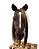 zabawki - inne Realistyczny Hobby Horse ciemny kasztan/balejaż/łatka 5