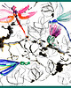 grafiki i ilustracje Dragonfly 4 - grafika 3