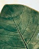 patery i talerze Talerz ceramiczny Tańczący Liść 4