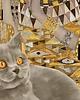 plakaty Plakat- Gustav Klimt - portret Adele z kotem 5