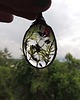 wisiory mini terrarium 4