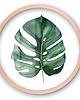 obrazy Szklany obraz - Monstera - Wall Me 7