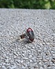 pierścionki - różne Jaspis - pierścionek regulowany 4