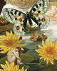 plakaty Plakat Fine Art giclee kolaż CALINECZKA 1