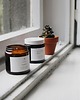 świece zapachowe Świeca sojowa EUCALYPTUS 120 ml 2
