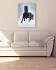 obrazy Obraz - Czarny koń - wydruk na płótnie 1