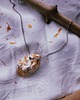 wisiory Amulet #modernwitch 1