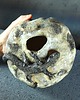 figurki i rzeźby Naczynie ceramiczne z rzeźbą jaszczurki - seria "Kamienny sen" 3