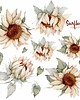naklejki ścienne do pokoju dziecka Słoneczniki, Sunflower  watercolor  DK138 - Naklejka na ścianę 1