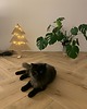 choinki Drewniana choinka 2
