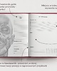 kalendarze i plannery Planer Anatomiczny 6