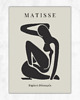 plakaty Zestaw 3 plakatów Natural colors Matisse style 3