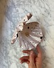 pojemniki na biżuterię Ceramiczna Muszla Muszelka Skarbiec na Biżuterię Lolipop w Czarne Ciapki 1