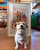grafiki i ilustracje Ilustracja Będziesz to jadł? 3