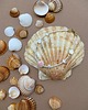 bransoletki ze szkła Bransoletka na nogę Mare Rose Shell 4