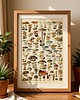 grafiki i ilustracje PLAKAT ILUSTRACJA z grzybami vintage 2