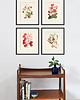 grafiki i ilustracje Zestaw Grafik Botanicznych Vintage 9