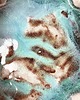 miski i misy MISECZKA *Deep into the sea* 12cm 4