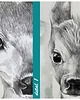 obrazy OBRAZ NA PŁÓTNIE -  60x80cm - Rodzeństwo 02261 3