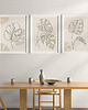 plakaty Zestaw 3 stylowych plakatów w stylu Boho, rośliny, monstera, line art. 3