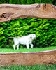 lustra stojące i wiszące Lustro - Live Edge 1