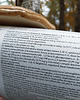 kalendarze i plannery Kalendarz z grzybami MYKOTERAPIA 2025 Z OPISEM GRZYBÓW A3 grzyby 6