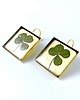 kolczyki z masy plastycznej KOLCZYKI - Golden clover (koniczyna) 1