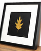 Ozdoby na ścianę Autorski Obraz Botaniczny. Złoty Liść Dębu. Czarna Ramka 25x25cm 2