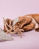 Zabawki dla zwierząt Wędka WILD CAT z zawieszką RYBIA OŚĆ 4