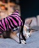 Zabawki dla zwierząt Zabawka dla kota kopacz kick & hug ze sznureczkami i kocimiętką ZEBRA RÓŻOWA 3
