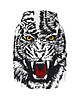 bluzy dla chłopców Bluza White Tiger 1