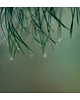 fotografia Krople 1