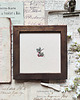 obrazy Maliny , owoce , Miniatura  ilustracja botaniczna 1