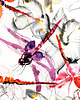 grafiki i ilustracje Dragonfly 2 - grafika 2