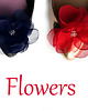 klipsy do butów Klipsy do butów Coquet-Fragile Flower/Navy Blue 5